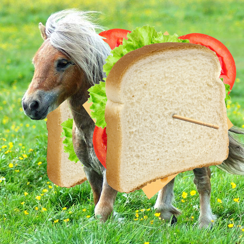 pony-sandwich pony-sandwich