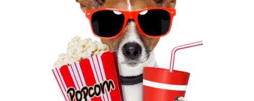 FreshersSU-MovieNight FreshersSU-MovieNight
