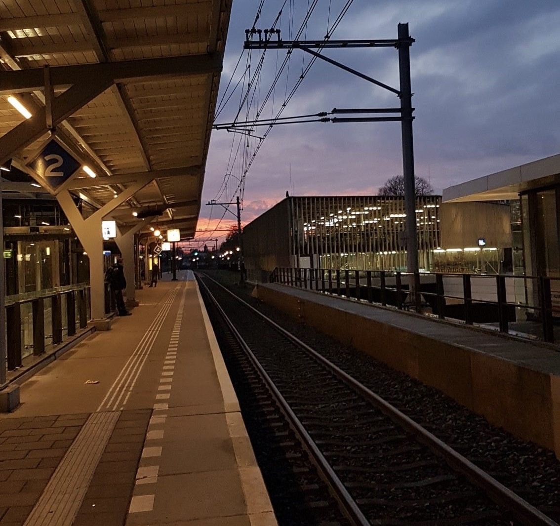 Coming Back After Holidays | Issue 3