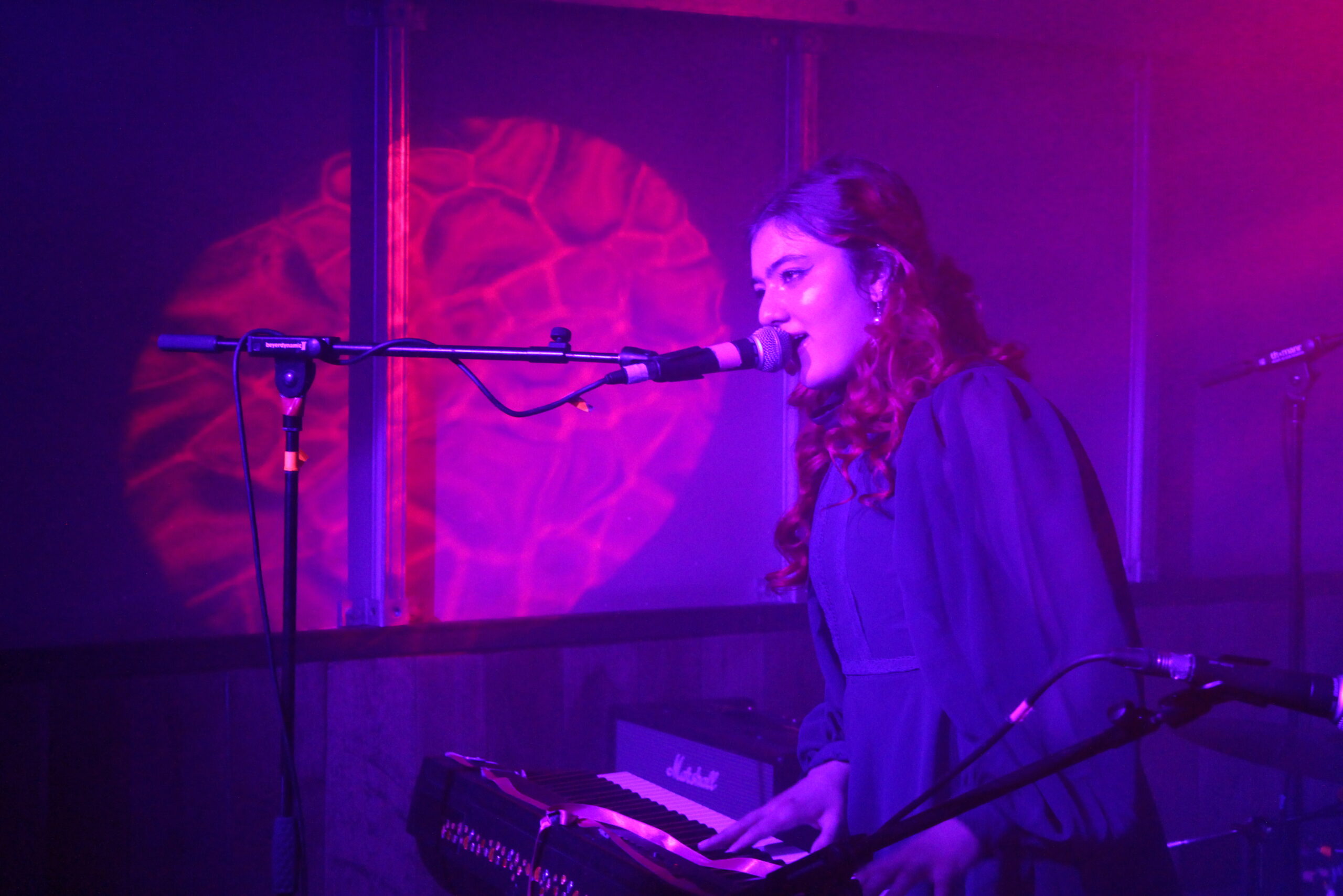 Eaves Wilder @ The Social | Issue 3
